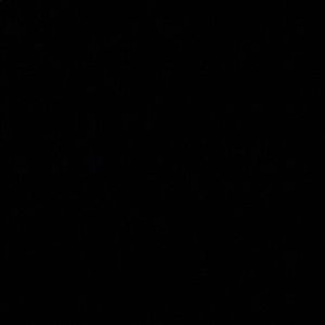 Meet your Posher, Cheyenne